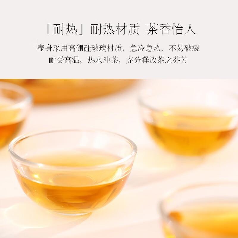 so.home乐怡茶具套装单手易握冲茶壶日式款耐热玻璃侧把壶
